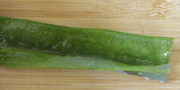 Aloe Vera Blatt, das an den Seiten aufgeschnitten wird um an das enthaltene Gel zu gelangen