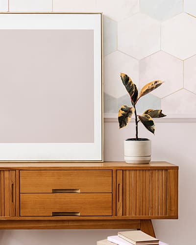 Eine Zimmerpflanze mit pastellfarbenen Blättern steht auf einer Holzkommode. Die Wand im Hintergrund hat die selbe Farbe wie die Blätter